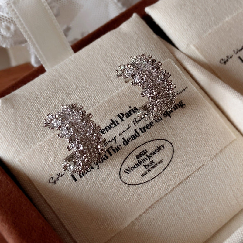 Light-Luxury Gold-Plated Platinum-Plated C-Shaped Multi-Zircon Earrings